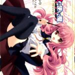 ゼロの使い魔 シュヴァリエ 1