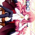 ゼロの使い魔 シュヴァリエ 2