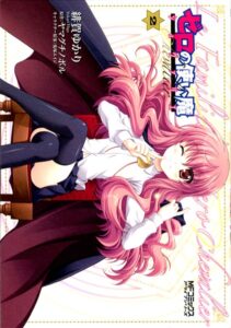 ゼロの使い魔 シュヴァリエ 2