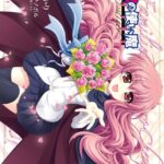 ゼロの使い魔 シュヴァリエ 4