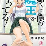 お姉ちゃんが僕の魔王を守ってる！ 3