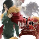 Fate/Zero （12）