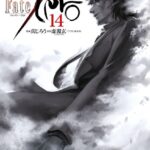 Fate/Zero （14）