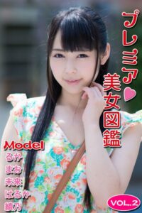 プレミア美女図鑑 vol.2