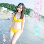 ミニグラ界の新星